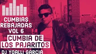 Cumbia de los Pajaritos Rebajada -Cumbias Rebajadas Vol 6 - Los Mirlos - Slowed