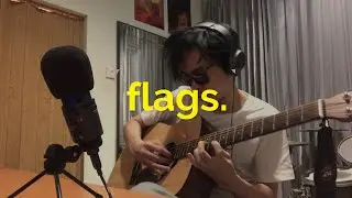 coldplay - flags (cover)