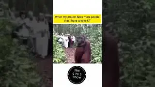 IT Employees giving and taking KT meme video.. #shorts #the9to5show