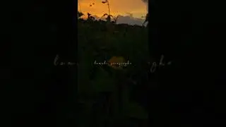Watch this if you&rsquo;re stressed 🧘&zwj;♀️🌿 #shorts
