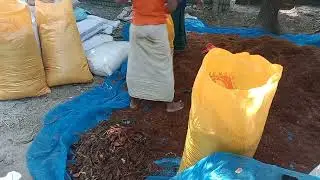 Cocoa Peat, Vermi Compost, Bone Meal, Sing Kuchi, Where to Find?And Wholesale Market।Call01741246466