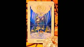 Evening Reading (Single Card) - The Queen of Cups #tarot #night #shaman #thoth #queenofcups