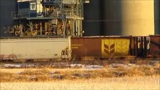 Calgary East VITERRA Grain elevator