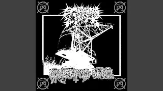 Desecrated Angel - Fuck rainbow capitalism