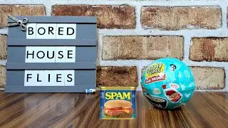 MGA's Miniverse Real Brands Unboxing Toy Review 5 - Featuring SPAM!