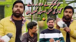 Umar khokhar ny shalamar waly kabootar ki History khool di 😍