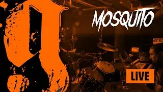 Mosquito &ndash; Goblinz (LIVE) | Awakening Fest 2024