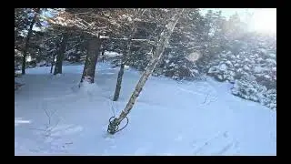 First lil trip on the touring skis