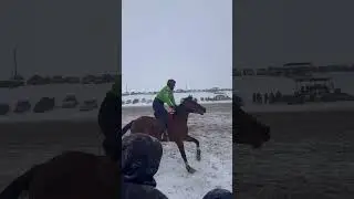 22 января 2026 г. #horse #лошади #rek #топ #лайк #games #topnews #top