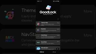 How to enable gesture again On the way One UI 6.1