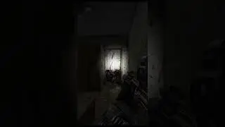 SP Tarkov - 1 Grenade 4 Kills 