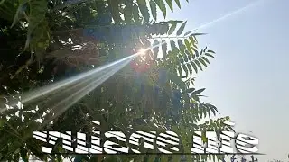 Village life videos background music copyright free // new video for nature 