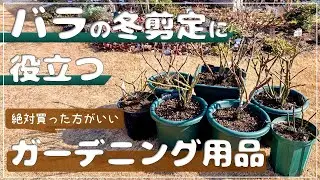 バラの冬剪定＆用土替えに役立つガーデニング用品4選！