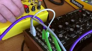 Metasonix TM5 and Moog DFAM