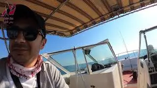 Qatar Jigging and Casting - Offshore Fishing