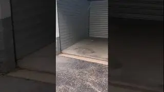Locker finished Easy 400 dollar profit #storageauction