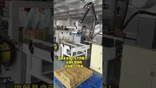 From bundling to palletizing this process directly replaces 6 manual laborers FullyAutomati cPacking