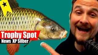 Russian Fishing 4 - Achtuba - Wildkarpfen und B&uuml;ffelfisch, Trophyspot XP und Silber