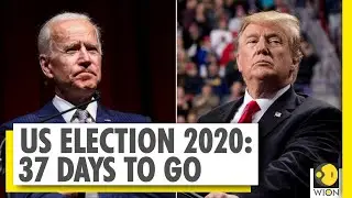 Universal suffrage adopted to elect the US President | US | US Election 2020 | World News