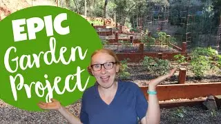 Epic GARDEN Project-- How We Spent Our $5,400 Simulus Check