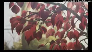 FREE FOR PROFIT Osamason x Che x Ken Carson Type Beat- 