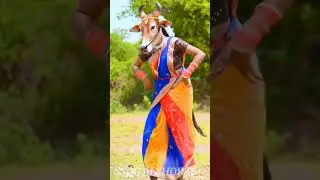 #shorts #viralvideo #dance #animals #goat #funny