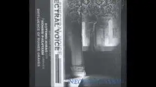 Spectral Voice 
