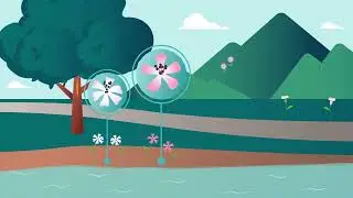 Importance et &eacute;volution des champignons pathog&egrave;nes de plantes