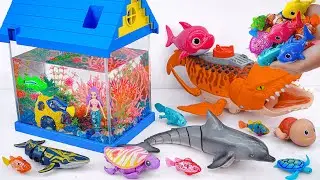 [Toy asmr] Crocodile & RC Shark & Baby Shark &Dolphin & House Aquarium ASMR Satisfying with Unboxing