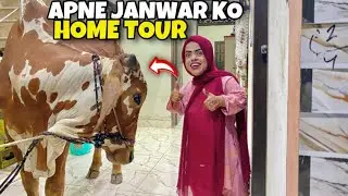 Apni Cow Jannat House Ka Home Tour Karwa diya 😍 Sanober Choti vlog