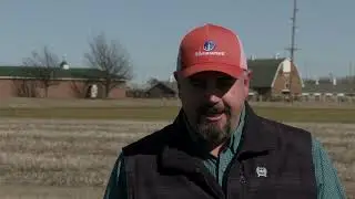How's the 2024 Wheat Crop Looking?