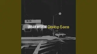 Urban Wisdom