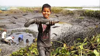 Best Fishing video,Muddy Soil,Deep,hole egg fishing,deep,sea fishing 2020,eel,Fish,oil,Real,mud 44