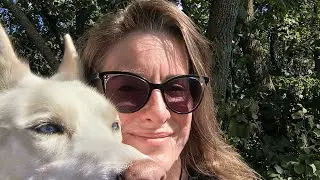 This Is Not My Sun!