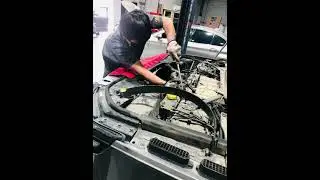 Auto world German & European car specialist.