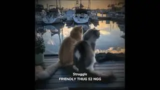 FRIENDLY THUG 52 NGG &ndash; Struggle (speed up)