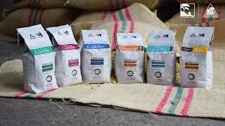 Semilla certificada de café en Colombia