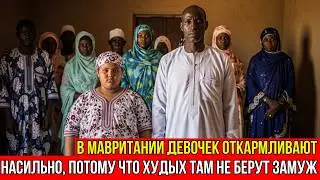 В Мавритании девочек откармливают насильно, чтобы выдать замуж — шокирующая традиция