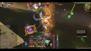 PVP - T1