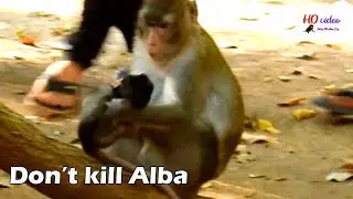 STOP DO LIKE THIS ANNA! Pity Alba cry seizure angry mom not allow milk, Alba cry-cry till less sound