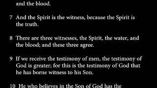 1 John 5:5-13