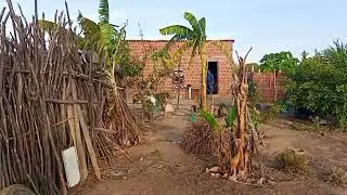 Vlog na roça anoitecer no sitio🌵🏡