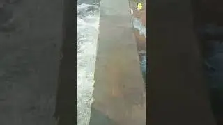 Tube Well Punjab Irrigation System 5 #youtubeshorts #shortvideo #shorts #duavloging1