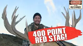 HUGE NEW ZEALAND RED STAG HUNT