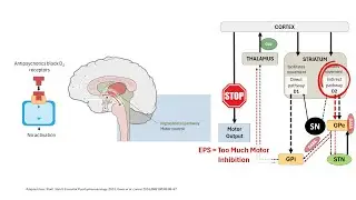 Why Antipsychotics Cause Extrapyramidal Symptoms (EPS) | Pharmacology Explained
