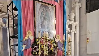 Misa de Rosas - Solemnidad VIRGEN DE GUADALUPE - Padre Carlos Alberto Gonz&aacute;lez De La Torre