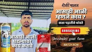 शेळी ला आसाडी पडल्यावर लगेच उपचार करा 😱#शेळीपालन #farming #trendingshorts #viralvideo 😱 