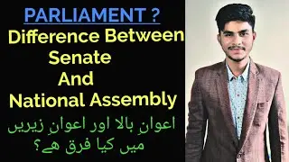 Difference Between Senate And National Assembly #Parliament #The Law And Life