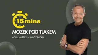 Proč nás stres ničí: mozek není stavěný na dnešní tlak