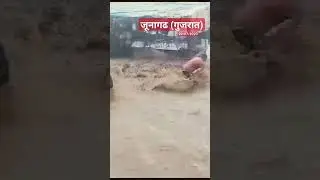 havy rain junagadh gujrat || baris  #junagadh #gujrat #flood #baris